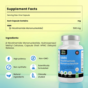 Pure NMN | Nicotinamide Mononucleotide