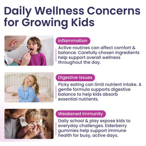 Elderberry Immune Support Gummies for Kids with Vitamin C & Zinc | Daily Immunity Support | 60 Count