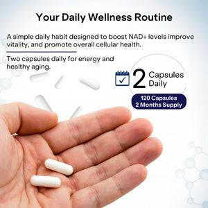 NAD+ Capsules Resveratrol - Liposomal Nicotinamide Riboside, Quercetin, Vitamin B3 NAD+ Supplement for Women and Men - Anti-Aging, Boost Focus and Energy - Cell Regeneration Supplement 120 Capsules