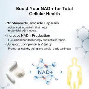 NAD+ Capsules Resveratrol - Liposomal Nicotinamide Riboside, Quercetin, Vitamin B3 NAD+ Supplement for Women and Men - Anti-Aging, Boost Focus and Energy - Cell Regeneration Supplement 120 Capsules