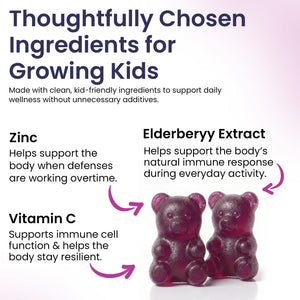 Elderberry Gummies for Kids - 3 in 1 Elderberry Vitamin C and Zinc - Vegan, Organic Immune Support Supplement for Kids - No Added Sugar - Dentist Friendly - Non GMO - Allergen free 60 Chewable Gummies