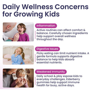 Elderberry Gummies for Kids - 3 in 1 Elderberry Vitamin C and Zinc - Vegan, Organic Immune Support Supplement for Kids - No Added Sugar - Dentist Friendly - Non GMO - Allergen free 60 Chewable Gummies