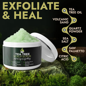 Tea Tree Scalp Scrub for Itchy & Dry Scalp