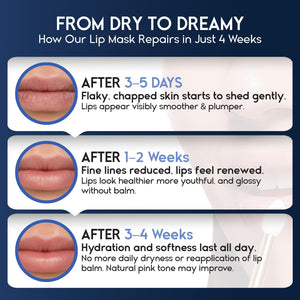 Lip Mask Overnight